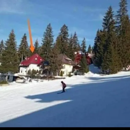 Lodge Druga Prica *